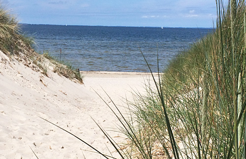 feinsandiger Sandstrand Ostsee