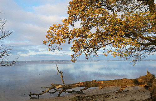 Herbst an der Ostsee